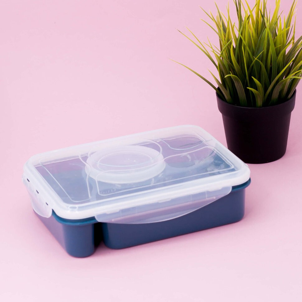 Ланчбокс с ложкой «Section» | Toki