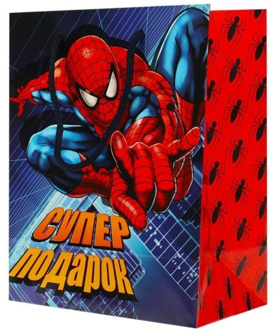 Пакет подарочный | Чудо праздник