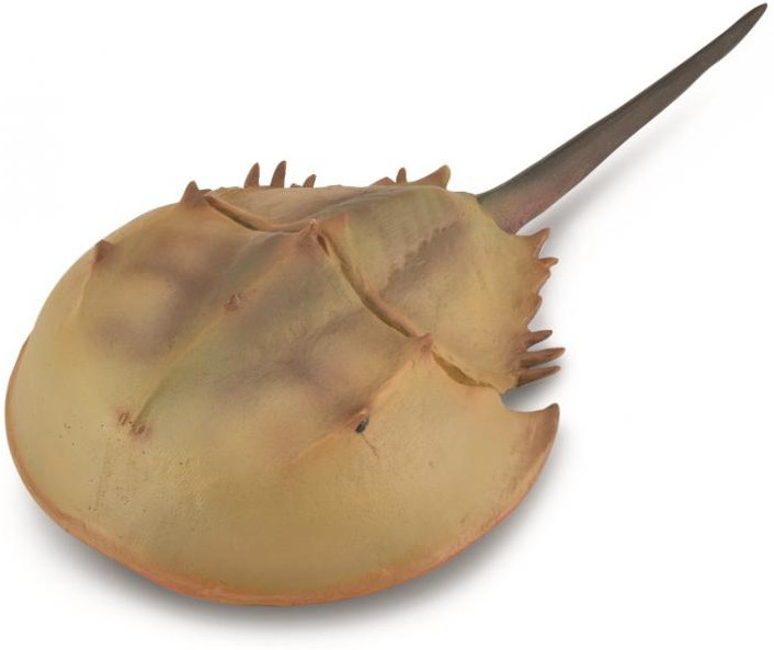 Фигурка морского животного «Мечехвост» | Collecta