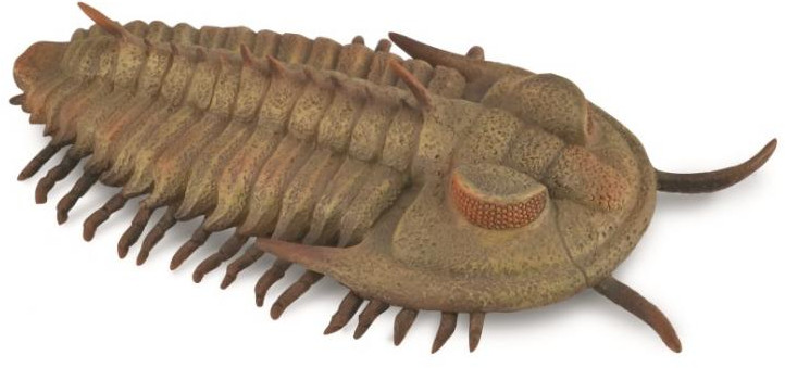 Фигурка морского животного «Трилобит» | Collecta