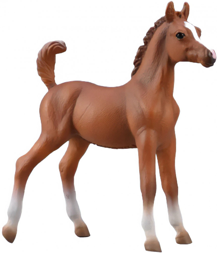 Фигурка «Жеребенок арабской лошади» | Collecta
