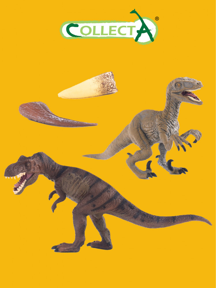 Набор фигурок динозавров «Тираннозавр, Велоцираптор» | Collecta