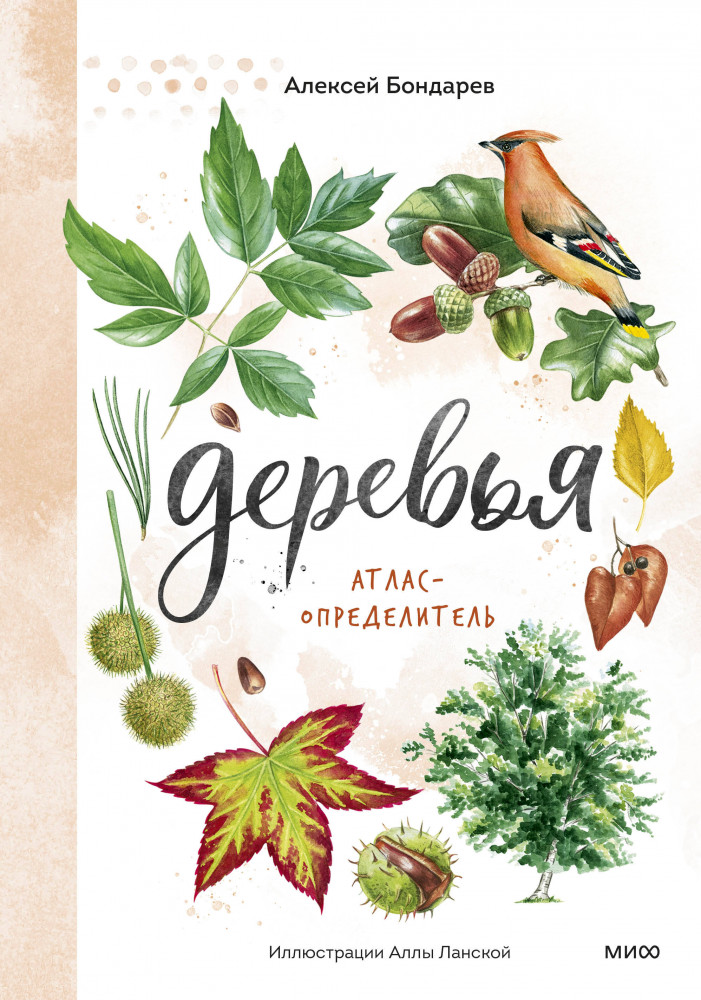 Деревья. Атлас-определитель. Как устроена экосистема леса и почему пальма не дерево | Мой первый определитель