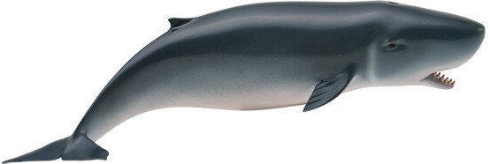 Фигурка «Карликовый кашалот» | Collecta