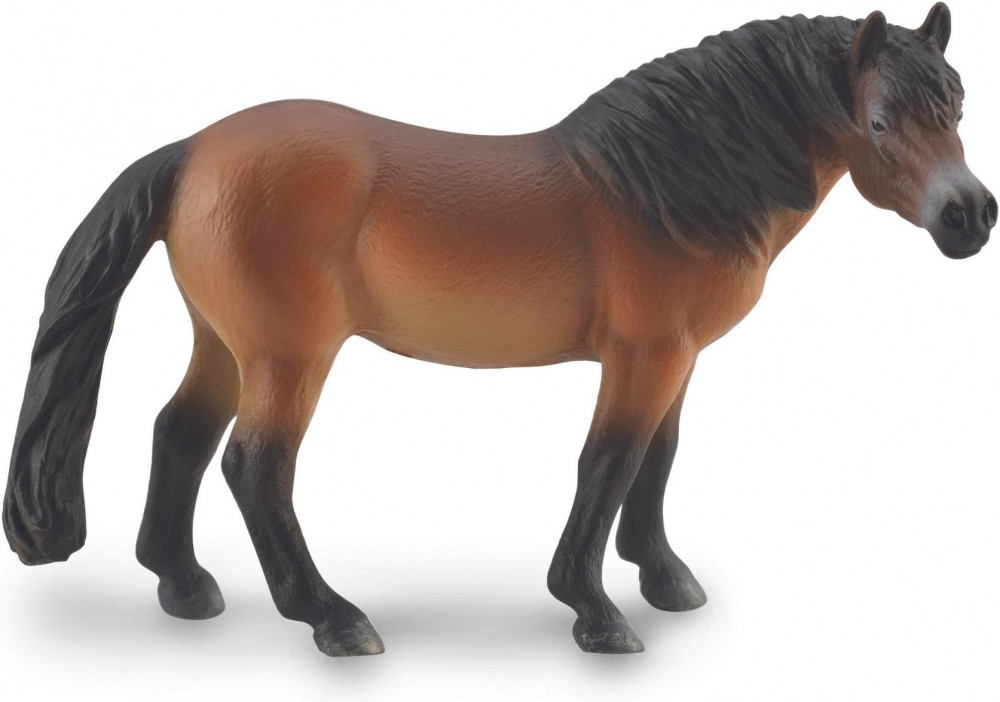 Фигурка «Жеребец эксмурский пони» | Horse | Collecta