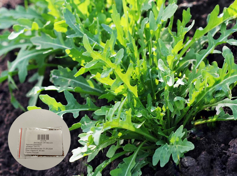 Семена рукколы «Диковина»
