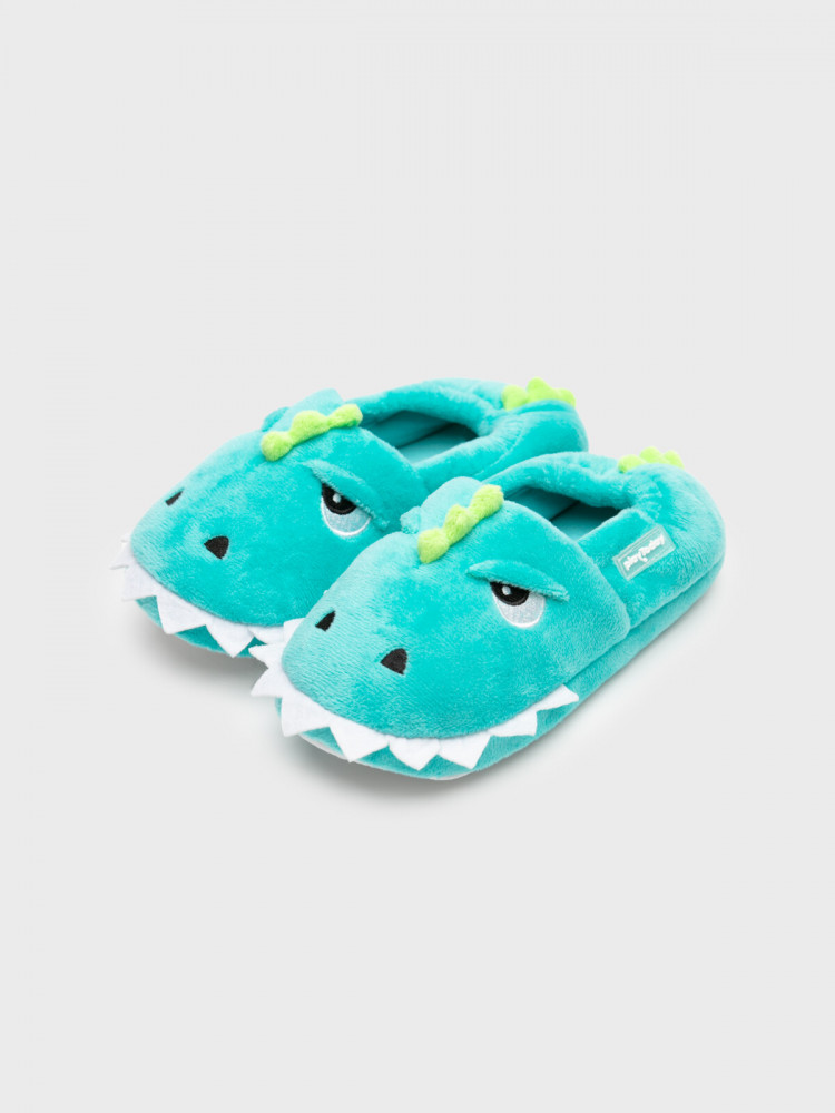 Тапочки для мальчиков | Home_Emotion | PlayToday