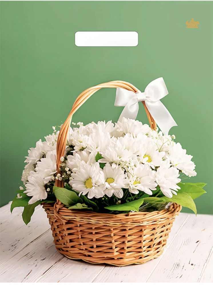 Пакет подарочный