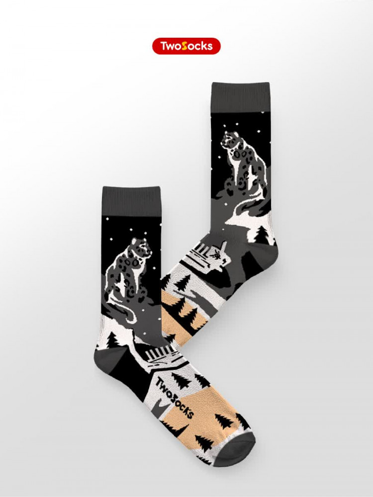 Дизайнерские носки с принтом | TwoSocks