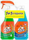 Набор из чистящих средств для стекол