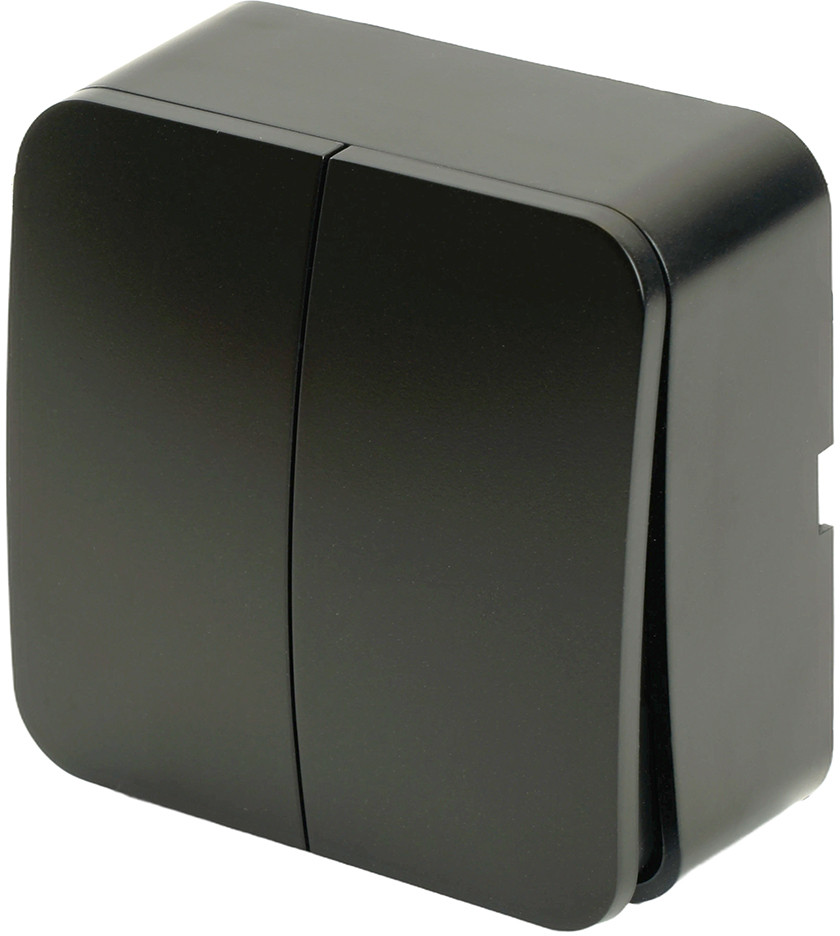 Выключатель двухклавишный MSW10-20-05 | София | Stekker