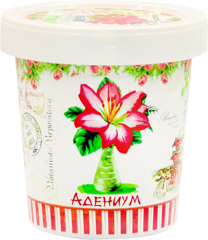 Набор для выращивания «Адениум» | Rostok Visa