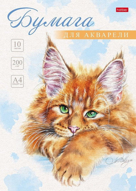Набор бумаги для акварели «Рыжий котик» | Hatber