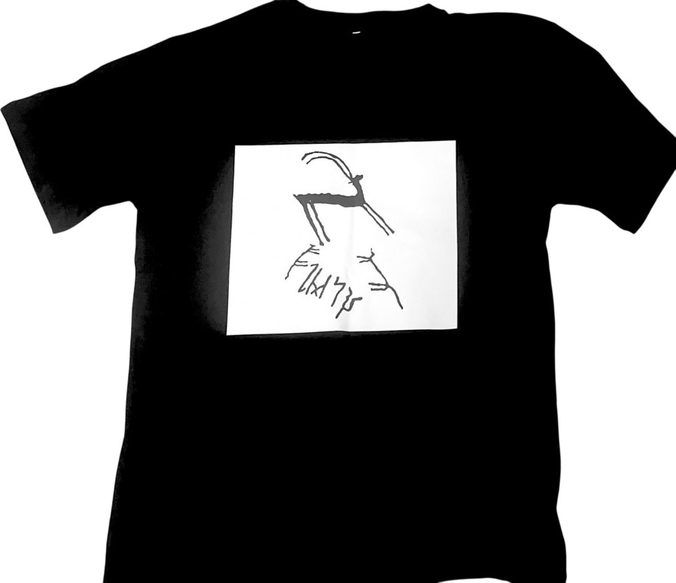 Футболка мужская