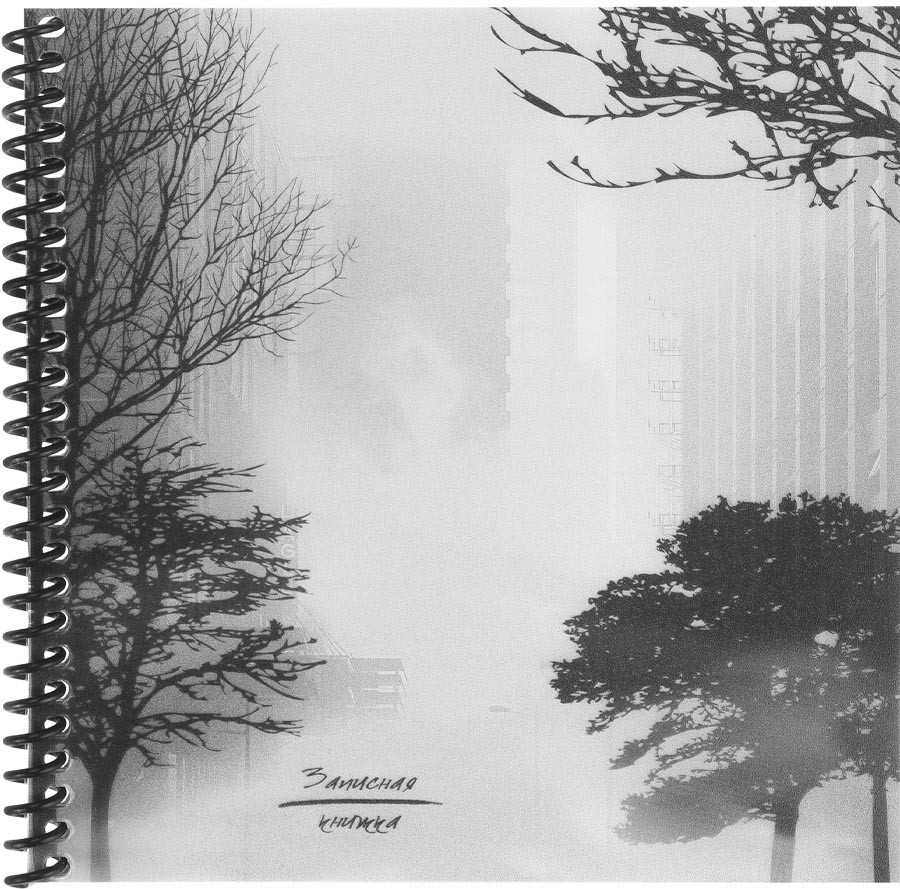 Книжка записная «Город в тумане» | Проф-Пресс