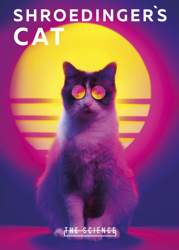 Тетрадь «Shroedinger’s Cat» | Тетради студенческие