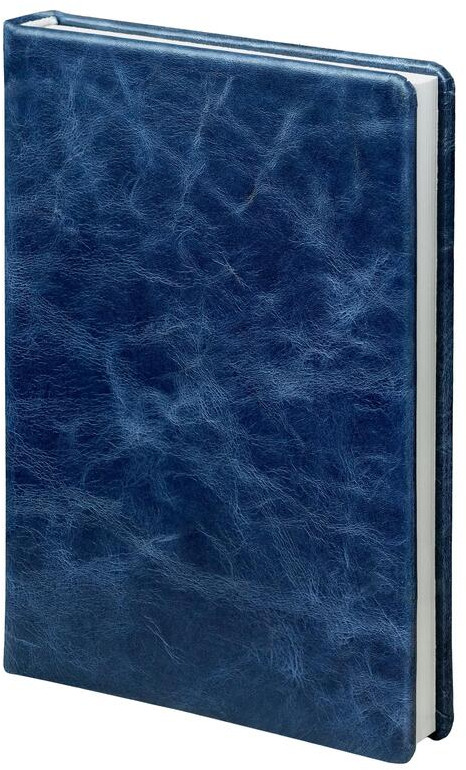 Ежедневник «Pull Up» | Attache