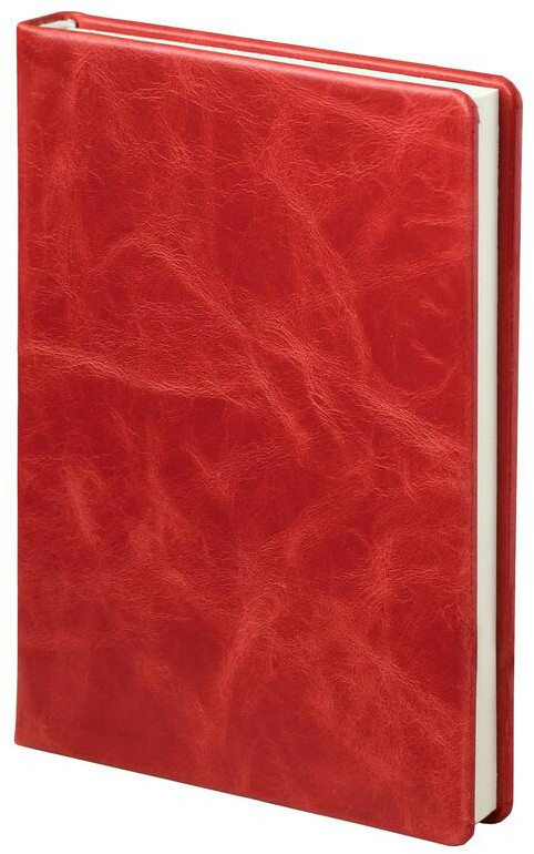 Ежедневник «Pull Up» | Attache