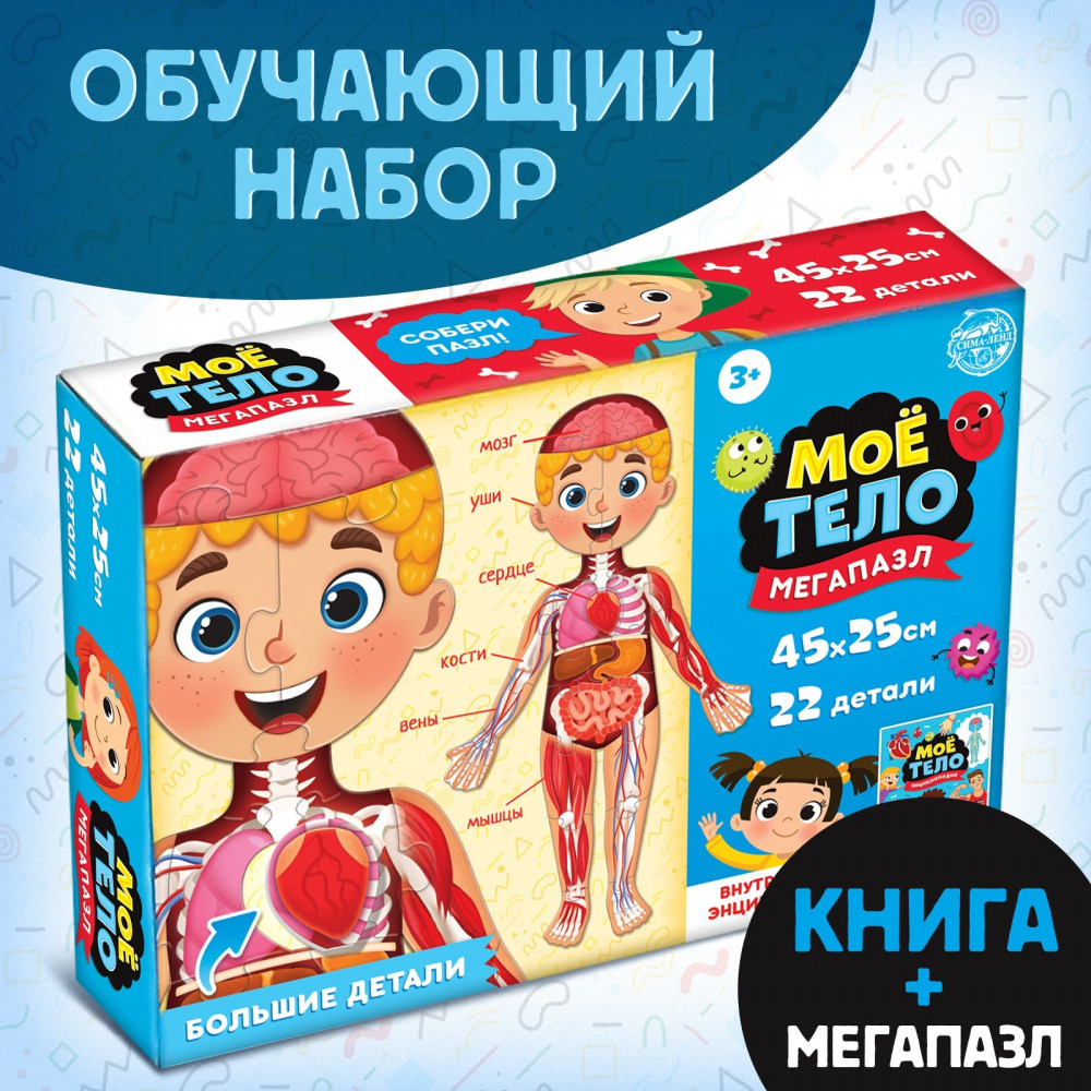 Набор обучающий «Моё тело» | Развивающие наборы Буква-Ленд