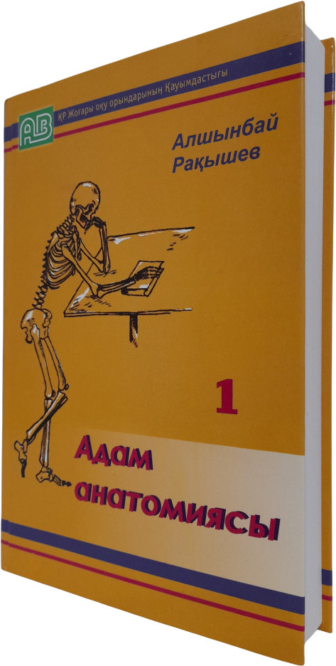 Адам анатомиясы. І-кітап