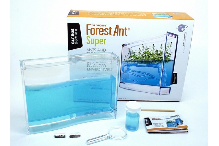 Antquarium super | TAOS