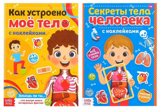 Наклейки набор «Тело человека», 2 шт. по 16 стр.