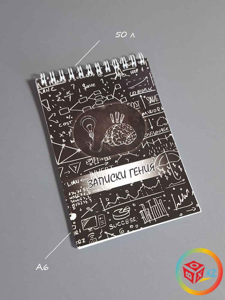 Блокнот «Записи Гения» | Box.kz