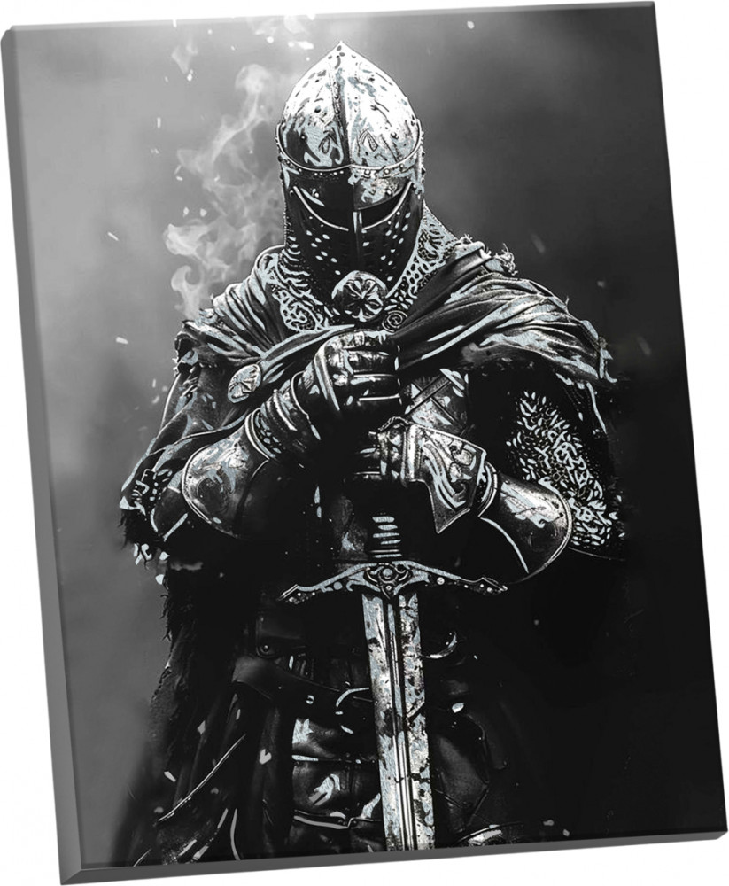 Картина по номерам «Рыцарь средневековья» | Флюид