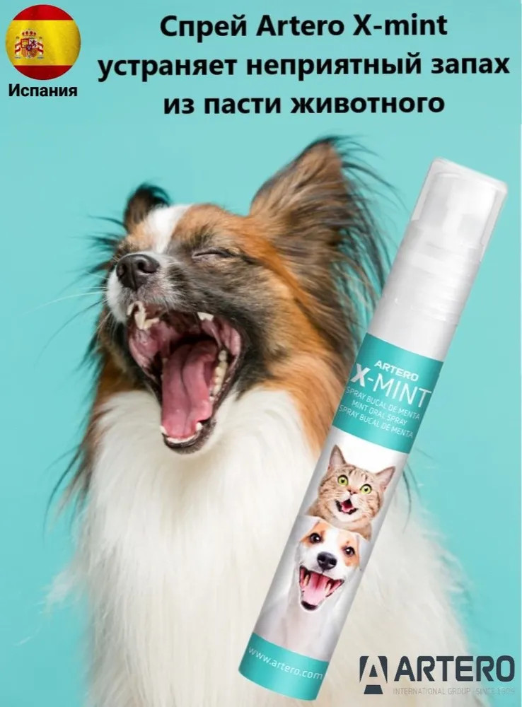 Спрей для свежести дыхания «X-mint» | Artero