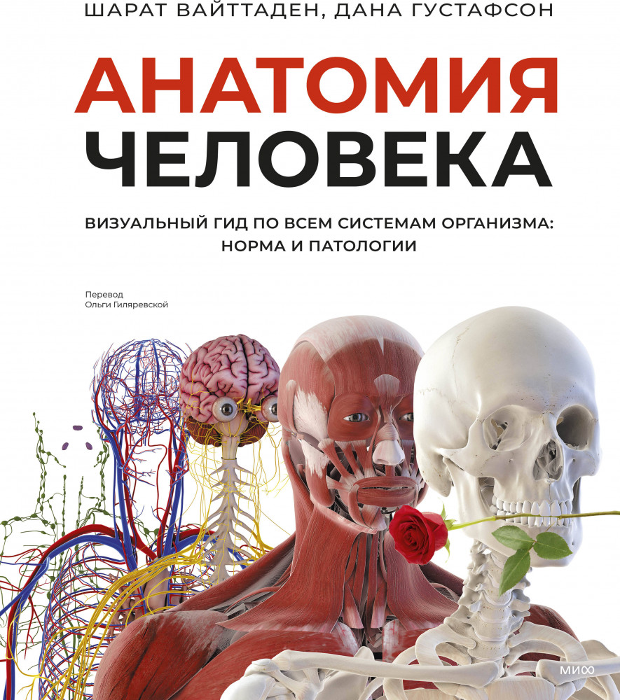 Анатомия человека. Визуальный гид по всем системам организма: норма и патологии