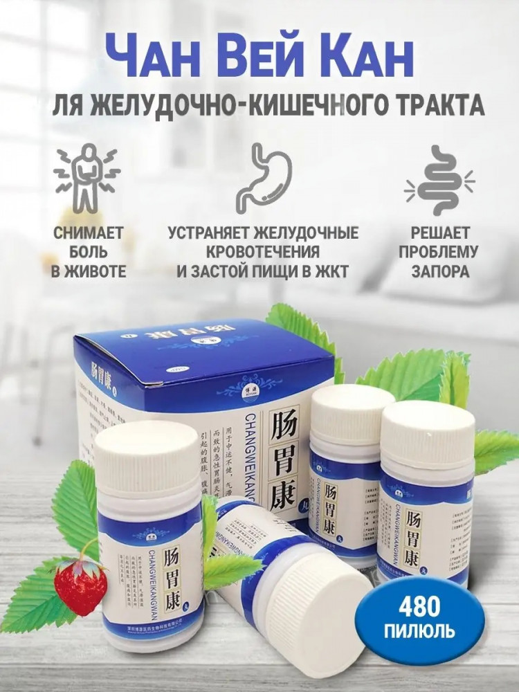 Пилюли для лечения заболеваний ЖКТ «Chang Wei Kang Wan» | Orgin
