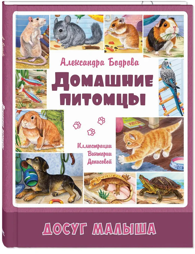 Домашние питомцы | Досуг малыша