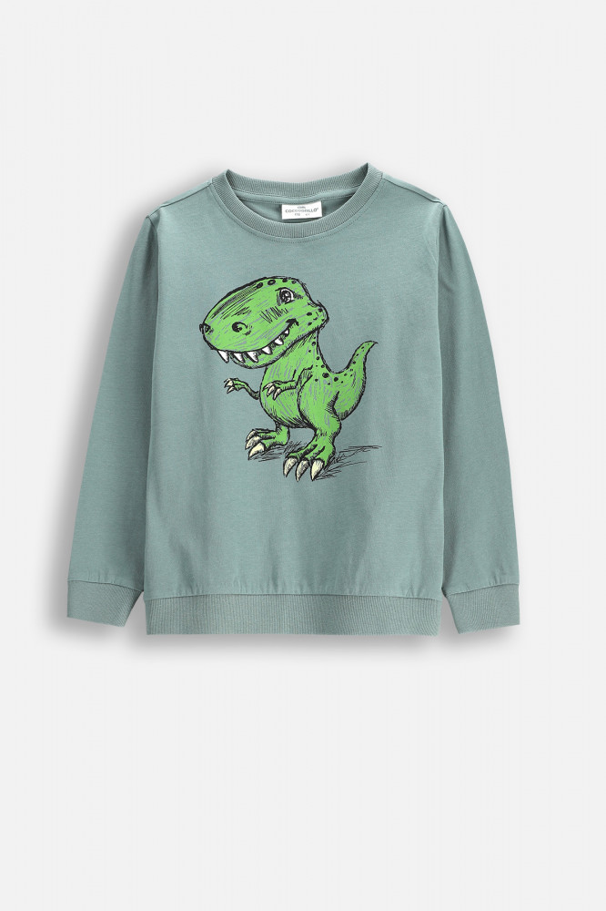 Свитшот для мальчиков | Coccodrillo