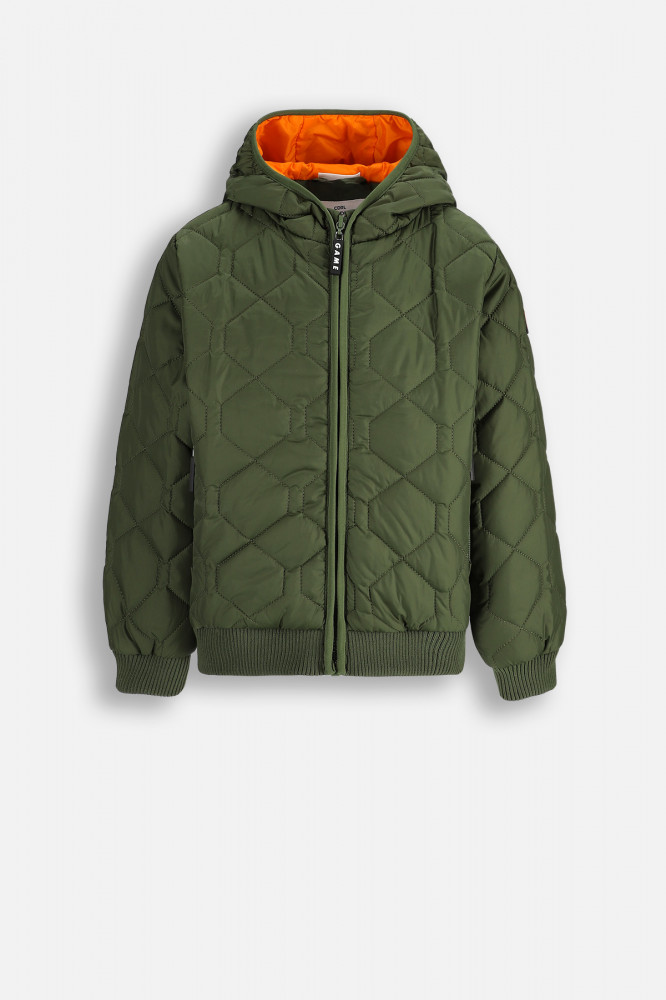 Куртка для мальчиков демисезонная | Coccodrillo