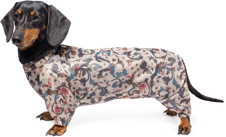 Комбинезон для собаки «Кроличья такса» | Gamma