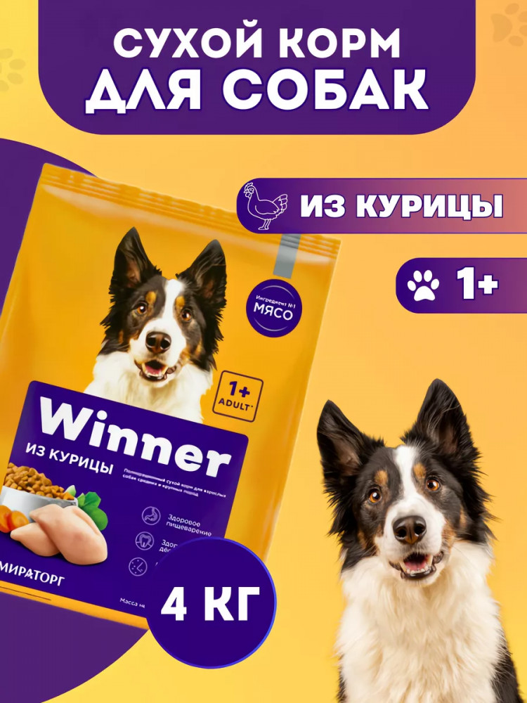 Корм сухой полнорационный для взрослых собак средних и крупных пород из курицы | Winner