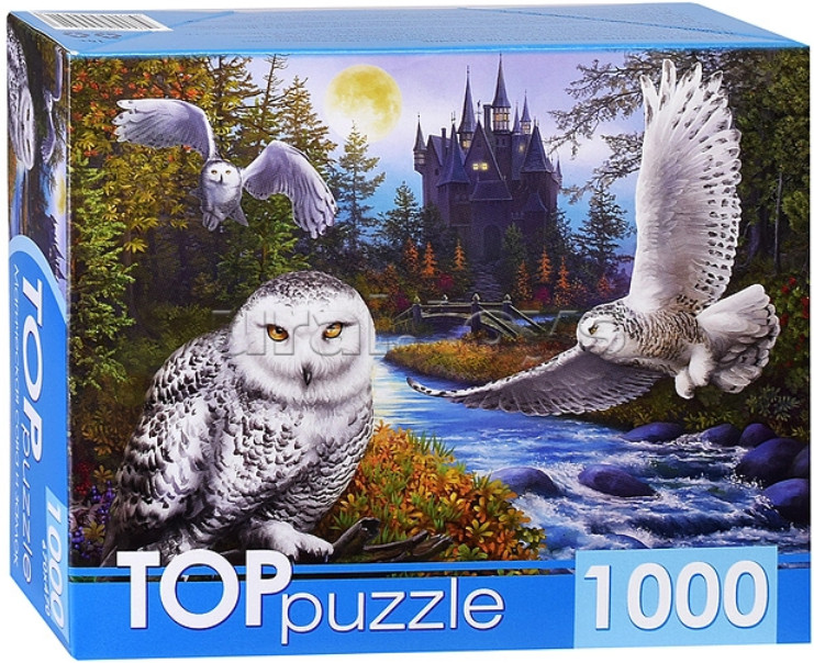 Пазл «Магическая сова и замок» | Рыжий кот
