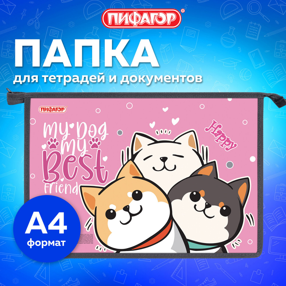 Папка для тетрадей «Best team» | School | Пифагор