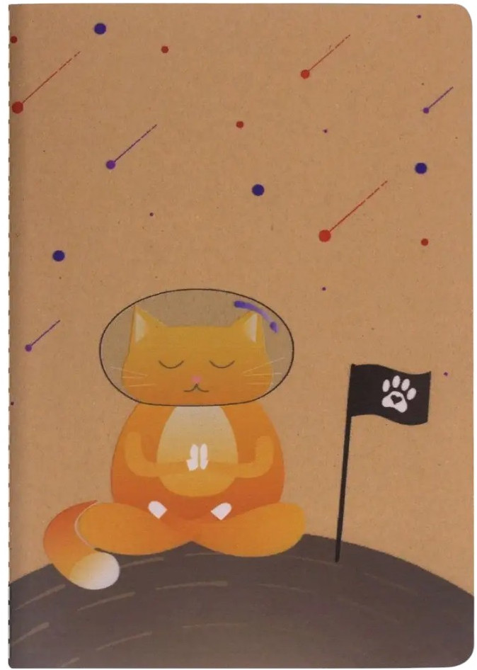 Тетрадь «Space Cat» | Рисунок | Brauberg