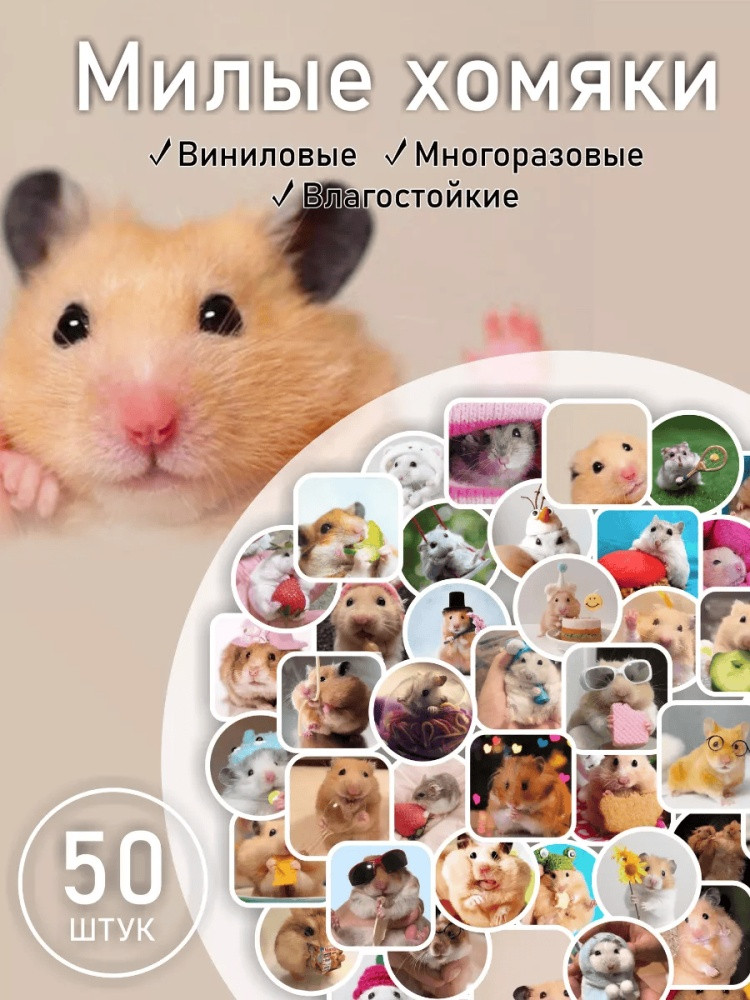 Набор наклеек для телефона