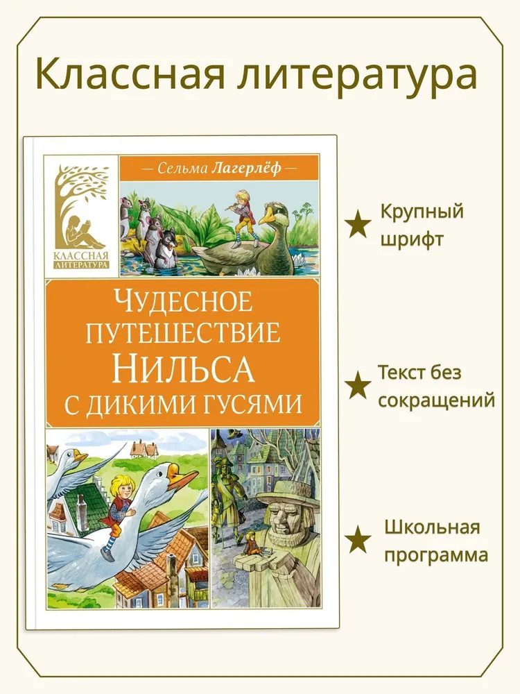 Чудесное путешествие Нильса с дикими гусями | Классная литература