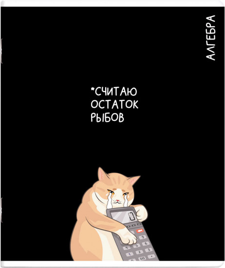 Тетрадь предметная «Алгебра»