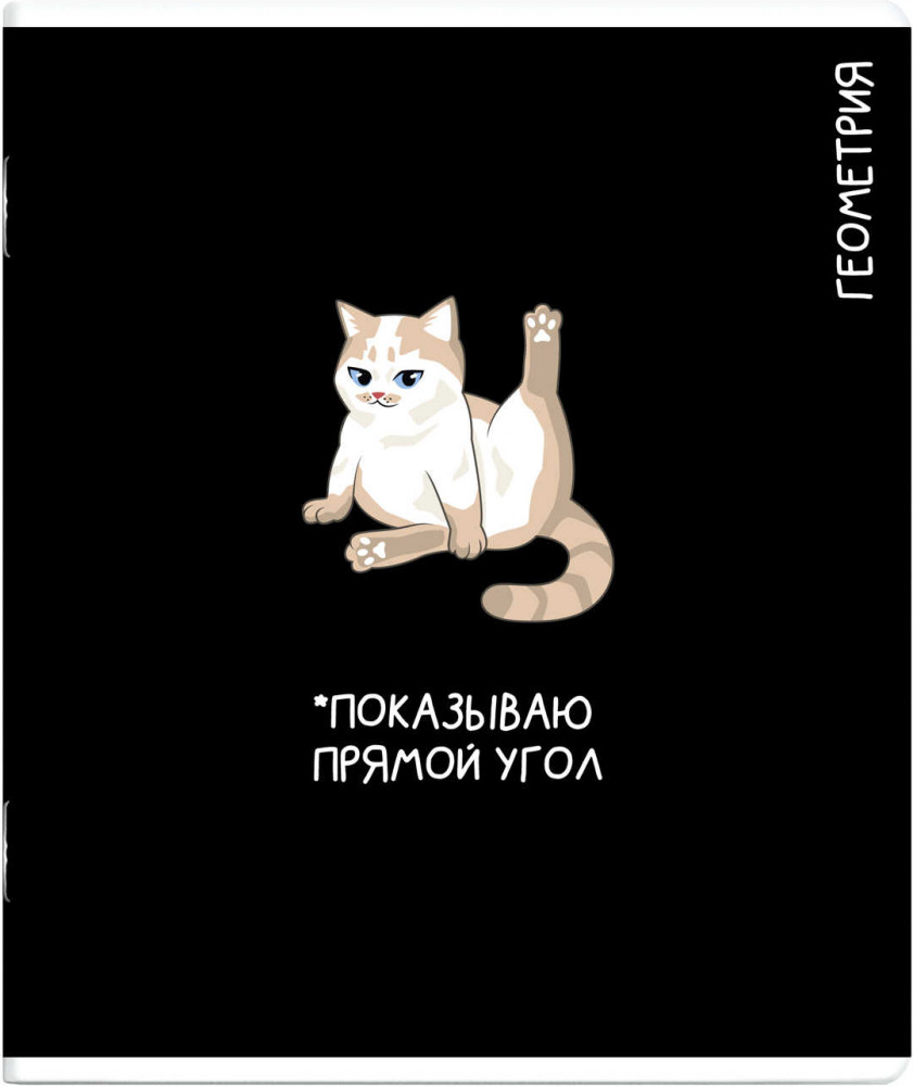 Тетрадь предметная «Геометрия» | Коты и мемы | Феникс +