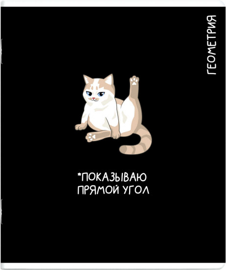 Тетрадь предметная «Геометрия»