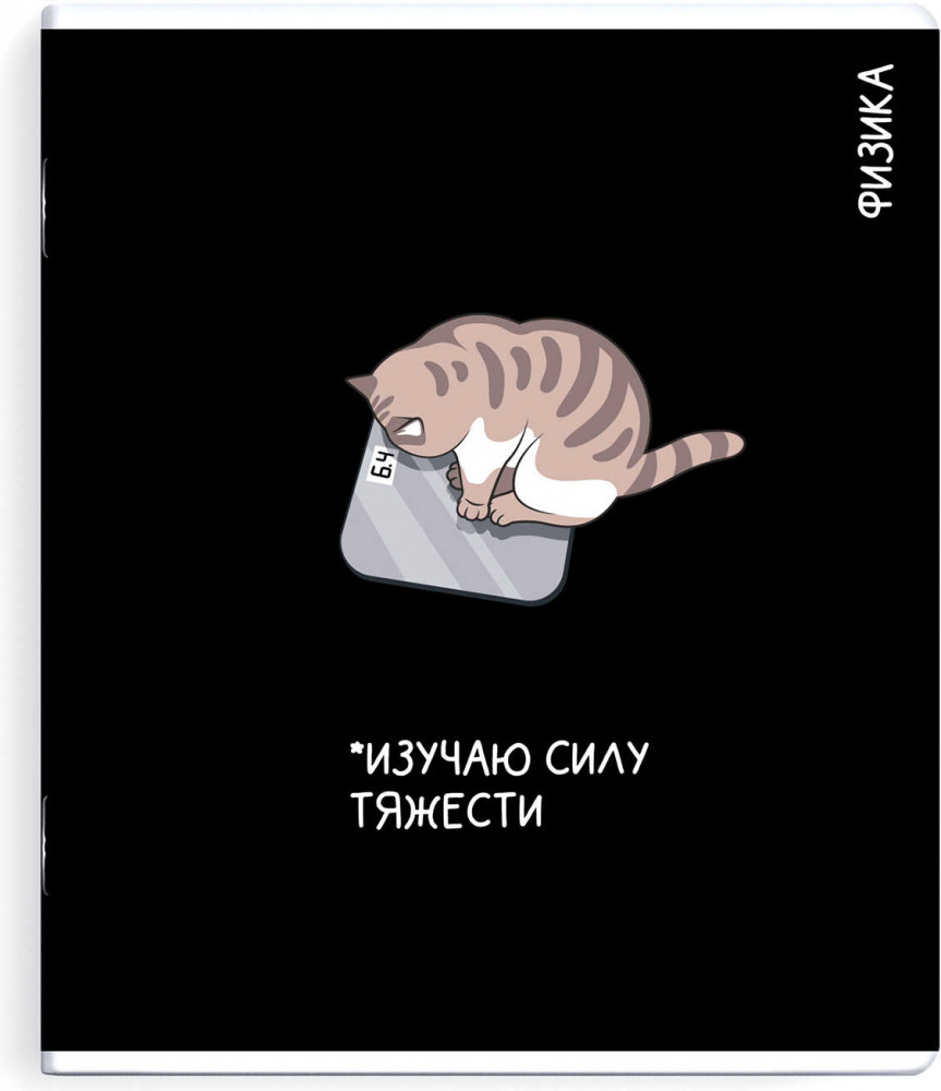 Тетрадь предметная «Физика» | Коты и мемы | Феникс +