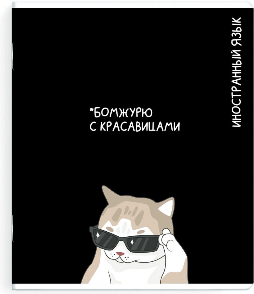 Тетрадь предметная «Иностранный язык» | Коты и мемы | Феникс +