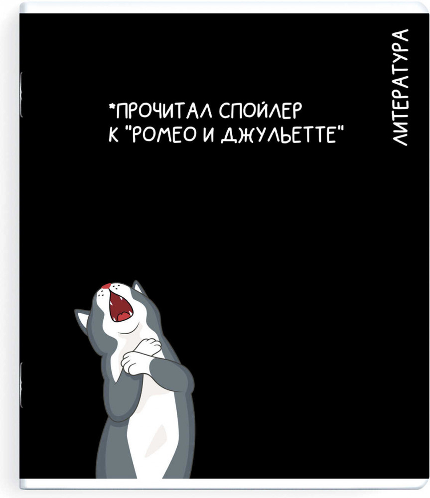Тетрадь предметная «Литература» | Коты и мемы | Феникс +