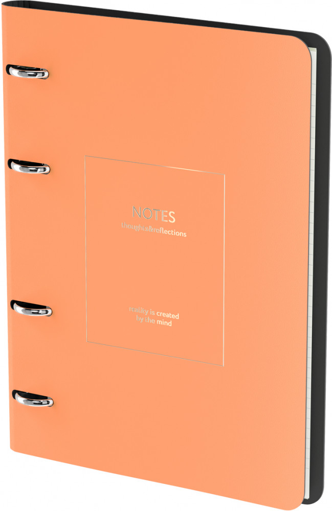 Тетрадь на кольцах «Размышления» | Greenwich Line