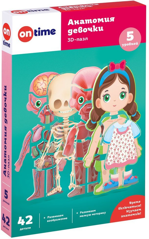 Пазл 3D обучающий для детей «Анатомия девочки» | On Time