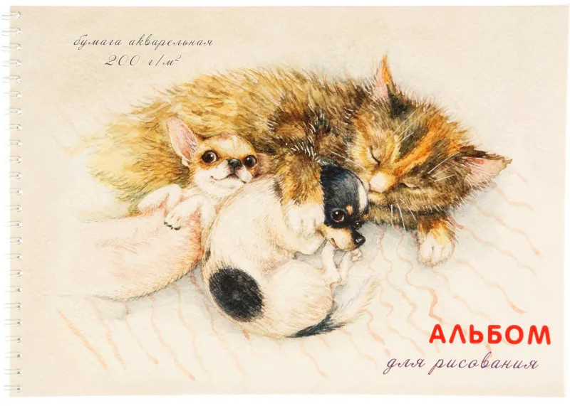 Альбом для рисования | Комус